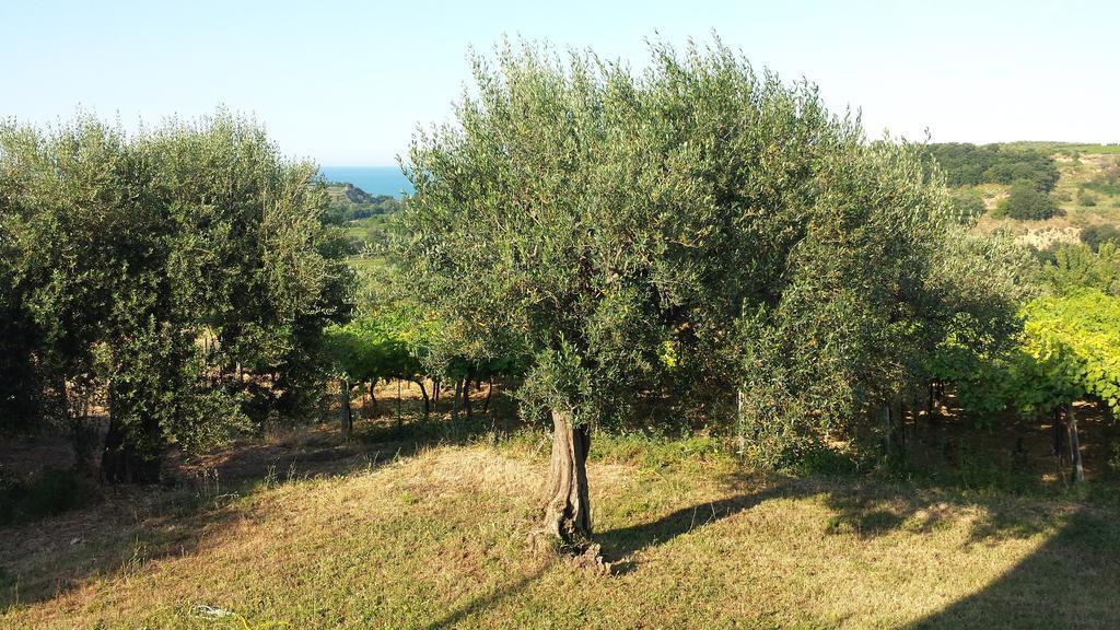 B&B Stella Dell'Adriatico Ortona Exterior photo